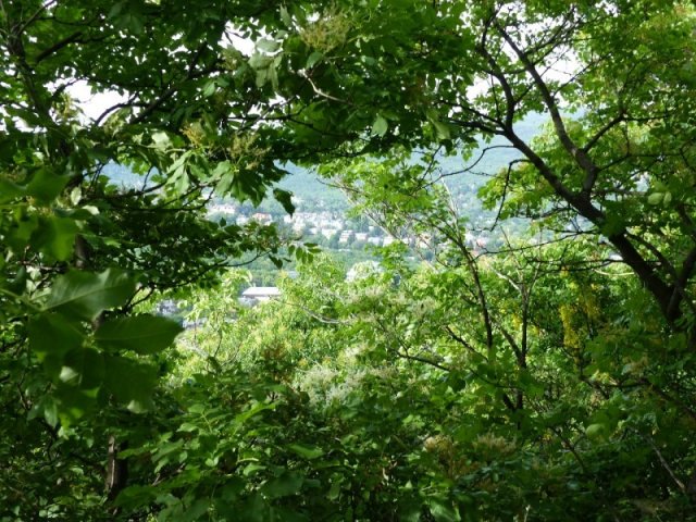 Eladó téglalakás, Budapesten, II. kerületben 64.9 M Ft, 2 szobás