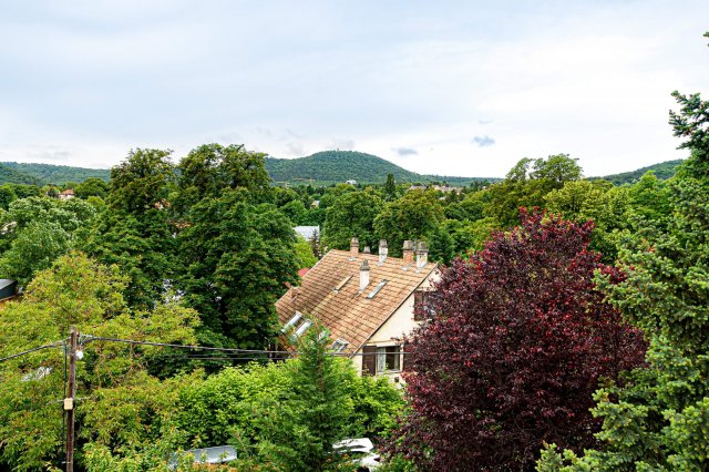Eladó családi ház, Budapesten, II. kerületben 850 M Ft, 7 szobás
