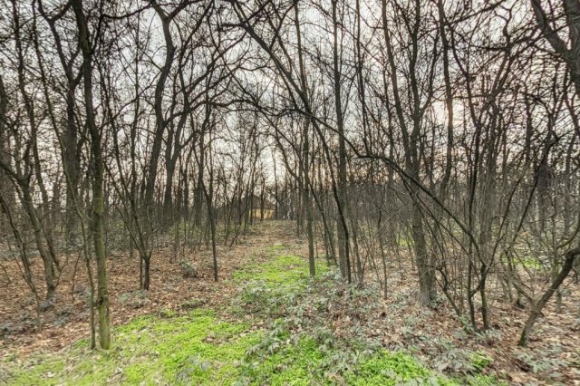 Eladó családi ház, Kecskeméten 129 M Ft, 7 szobás