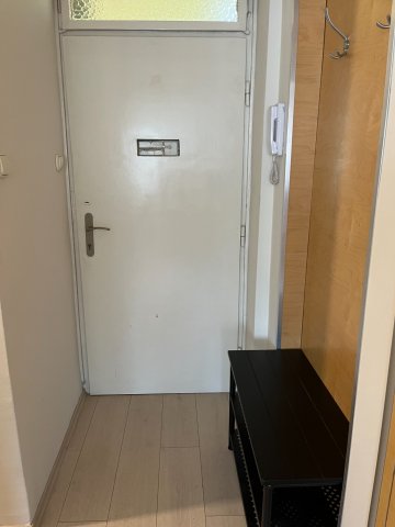 Kiadó téglalakás, albérlet, Pécsett 150 E Ft / hó, 1 szobás