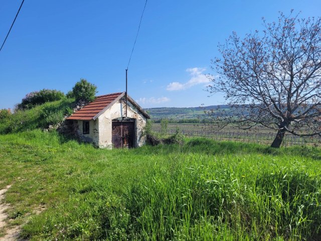 Eladó mezogazdasagi ingatlan, Tagyonon 39 M Ft