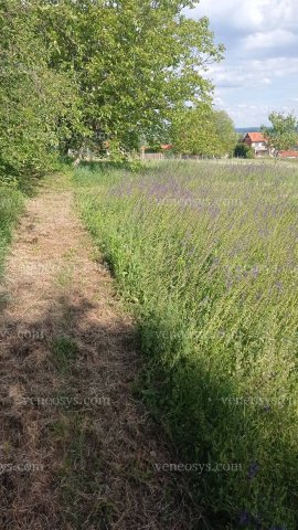 Eladó telek, Zalakaroson 7.5 M Ft / költözzbe.hu