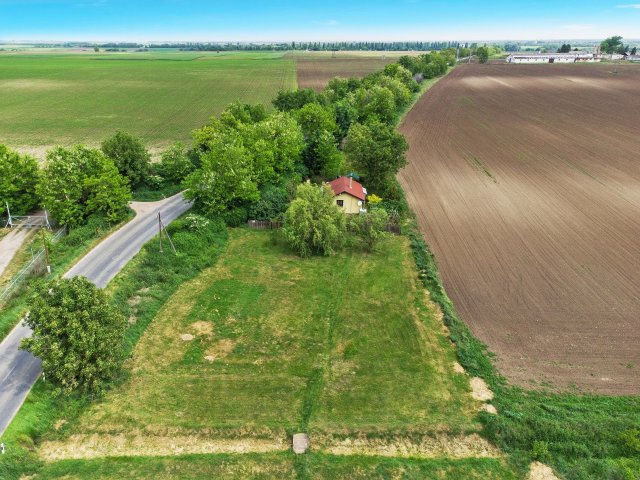 Eladó mezogazdasagi ingatlan, Dányon 74.9 M Ft