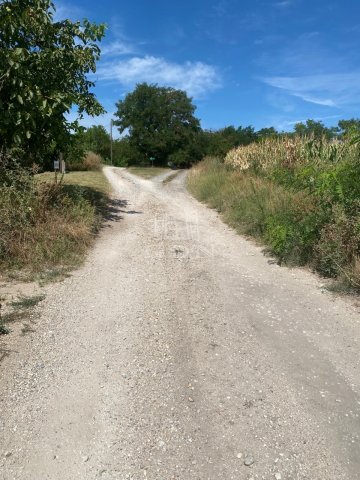 Eladó mezogazdasagi ingatlan, Nagyigmándon 94.5 M Ft