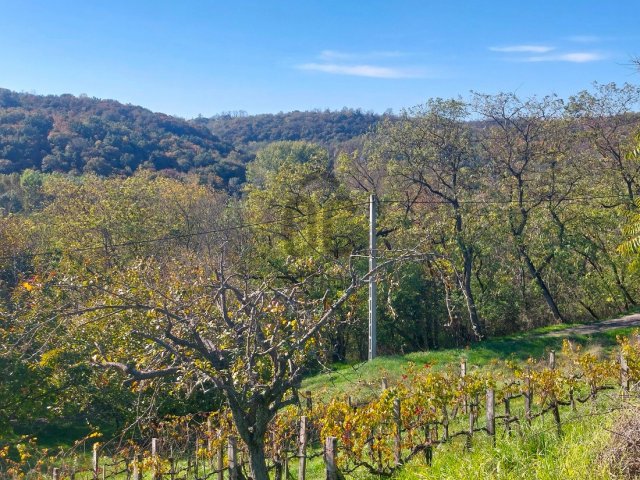 Eladó nyaraló, Ságváron 18.9 M Ft, 2 szobás