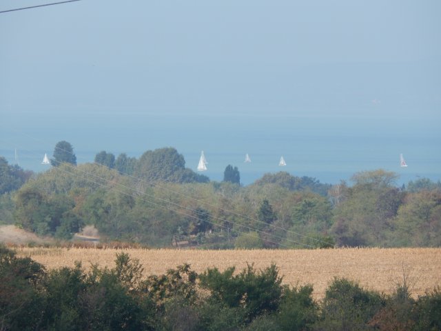 Eladó telek, Zamárdiban 297 M Ft / költözzbe.hu