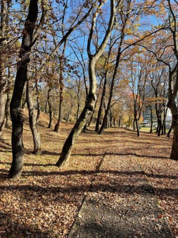 Eladó téglalakás, Budapesten, II. kerületben 219 M Ft, 3 szobás