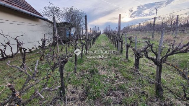 Eladó mezogazdasagi ingatlan, Pázmándon 19.9 M Ft, 1 szobás