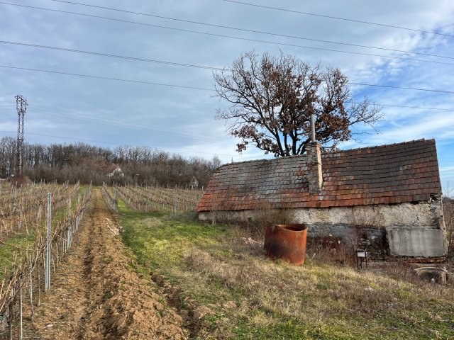 Eladó nyaraló, Balatonszőlősön 14.99 M Ft, 1 szobás