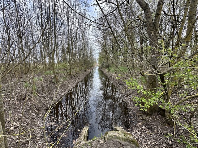 Eladó mezogazdasagi ingatlan, Szeghalmon 37.5 M Ft