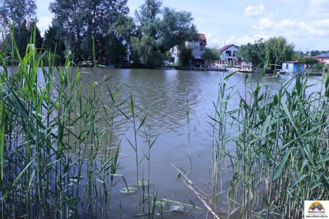 Eladó nyaraló, Dunaharasztin 95 M Ft, 2 szobás
