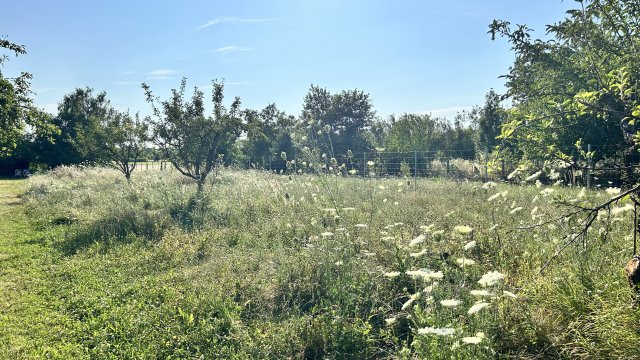 Eladó telek, Szombathelyen 8.9 M Ft / költözzbe.hu