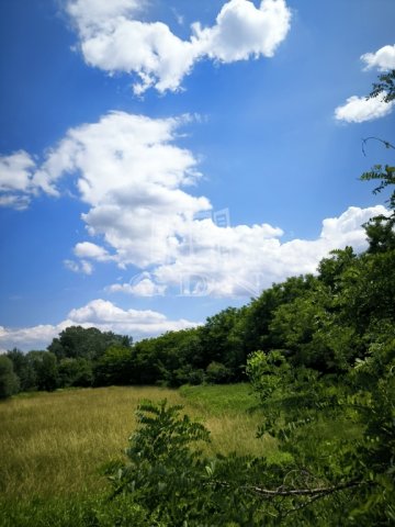 Eladó mezogazdasagi ingatlan, Sződön, Csörögi úton 19.9 M Ft