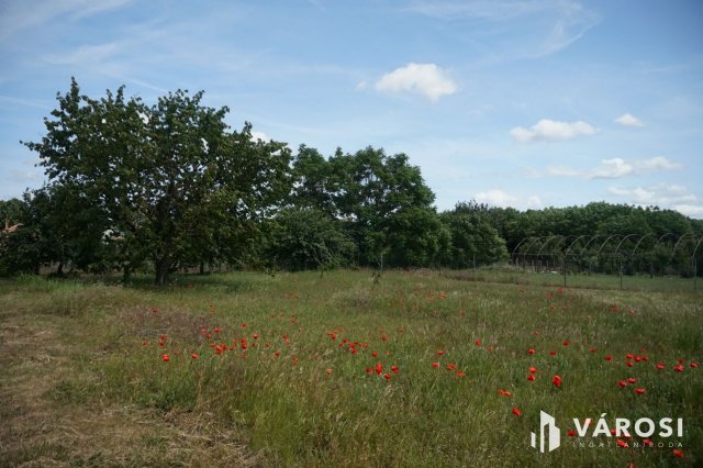 Eladó telek, Pusztavacson 8.5 M Ft / költözzbe.hu