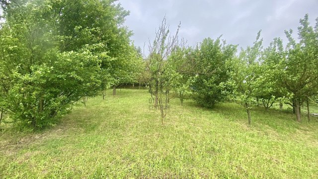 Eladó telek, Zalaegerszegen 6.5 M Ft / költözzbe.hu