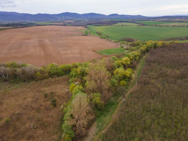 Eladó mezogazdasagi ingatlan, Rétságon 1 M Ft