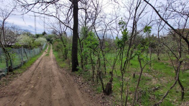 Eladó telek, Gödöllőn, Völgy utcában 9.5 M Ft