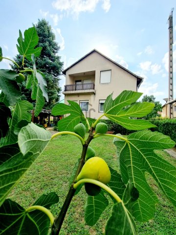 Eladó családi ház, Gödöllőn 88.9 M Ft, 7 szobás