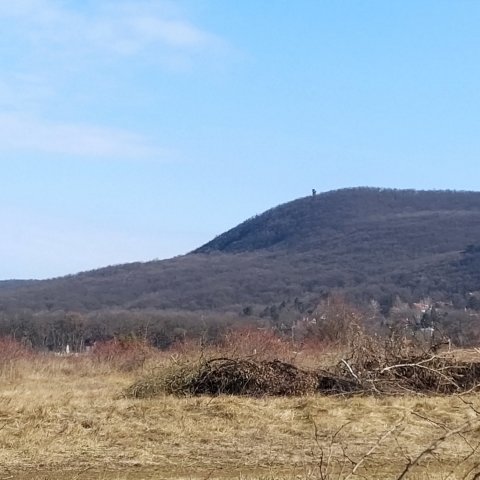 Eladó telek, Piliscsabán 29.99 M Ft / költözzbe.hu