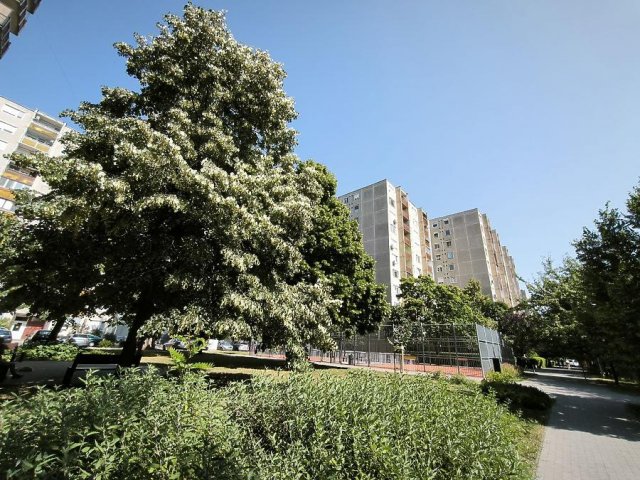 Eladó panellakás, Budapesten, IV. kerületben 48.5 M Ft