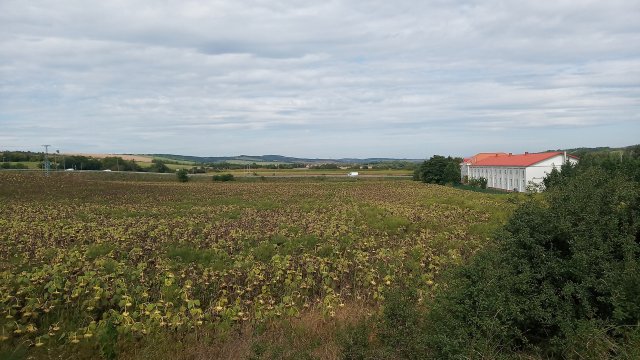 Eladó telek, Bagon 42 M Ft / költözzbe.hu