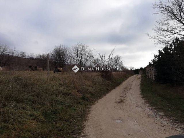 Eladó telek, Csabdiban 69.9 M Ft / költözzbe.hu
