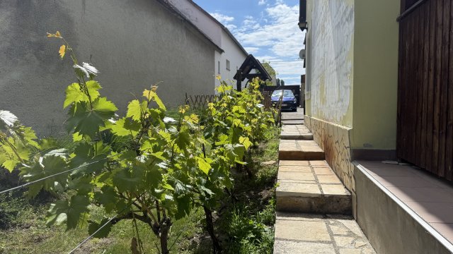 Eladó családi ház, Fertőhomokon 84.99 M Ft, 6 szobás