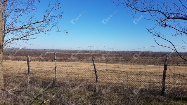 Eladó telek, Győrött 5.8 M Ft / költözzbe.hu