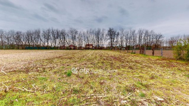 Eladó családi ház, Ófehértón 22.7 M Ft, 2+1 szobás