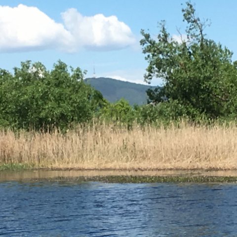 Eladó családi ház, Tiszaeszláron 20 M Ft, 4 szobás