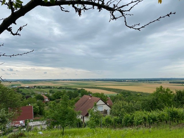 Eladó telek, Pázmándon 24.9 M Ft / költözzbe.hu