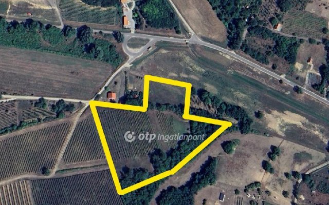 Eladó mezogazdasagi ingatlan, Szekszárdon 27 M Ft