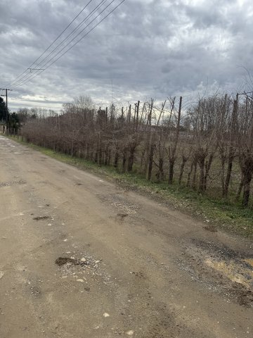 Eladó telek, Nyíregyházán 9 M Ft / költözzbe.hu