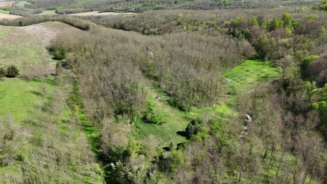 Eladó mezogazdasagi ingatlan, Kisbucsán 35 M Ft