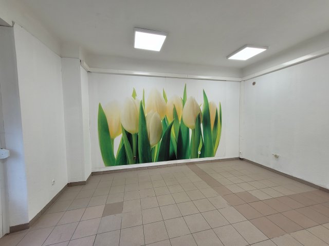 Kiadó családi ház, albérlet, Győrött 300 E Ft / hó