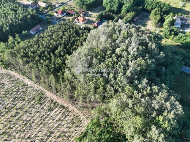 Eladó telek, Kecskeméten 169 M Ft / költözzbe.hu