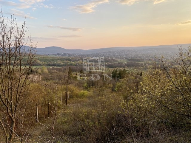 Eladó telek, Budapesten, II. kerületben 60 M Ft