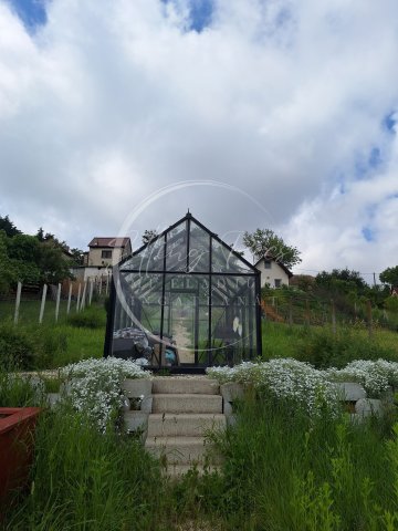 Eladó családi ház, Pogányon 29.9 M Ft, 1 szobás