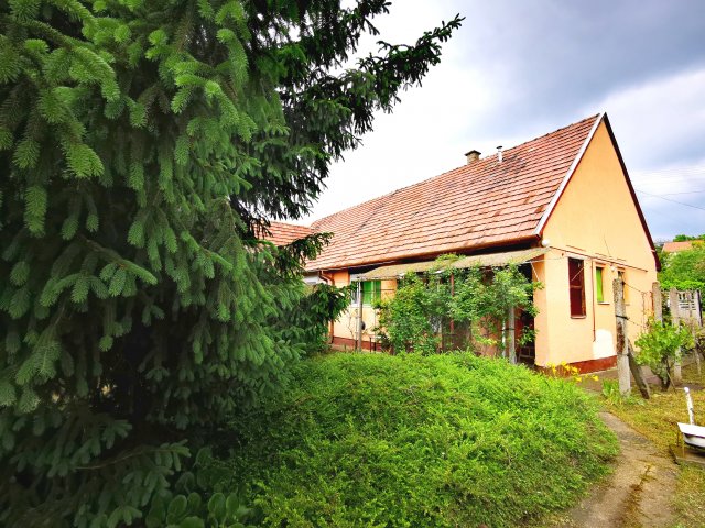 Eladó családi ház, Sárisápon 39.9 M Ft, 2 szobás