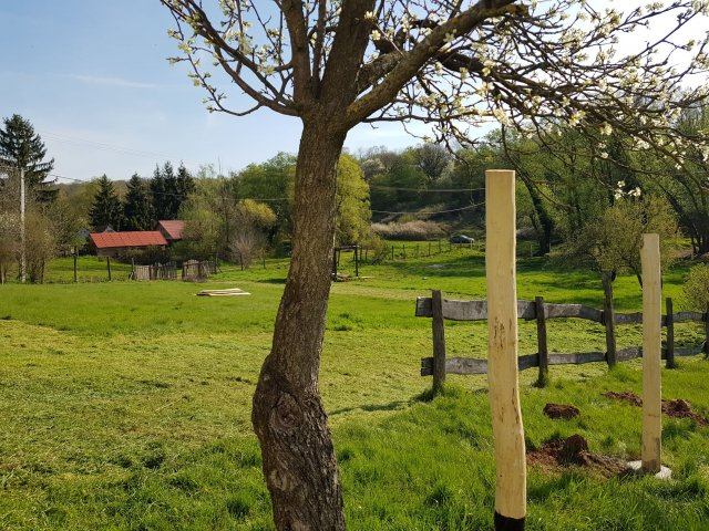 Eladó telek, Bodán 12.6 M Ft / költözzbe.hu