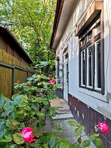 Eladó családi ház, Budapesten, XV. kerületben 55 M Ft, 2 szobás