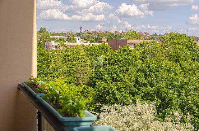 Eladó téglalakás, Veszprémben 49.9 M Ft, 2 szobás