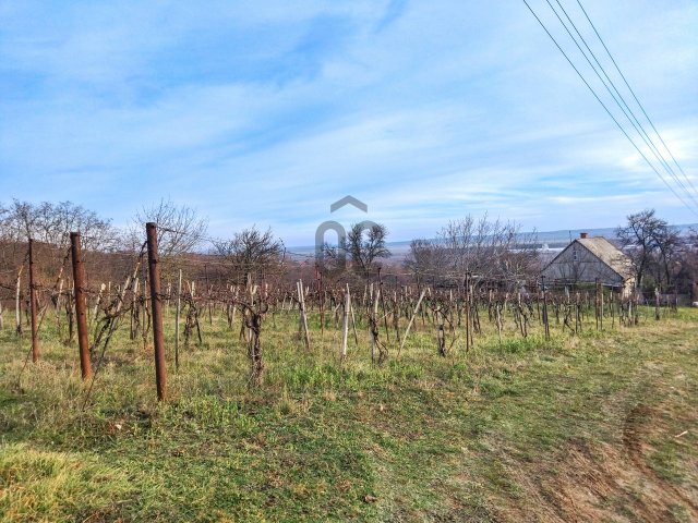 Eladó családi ház, Várpalotán 15.9 M Ft, 2 szobás