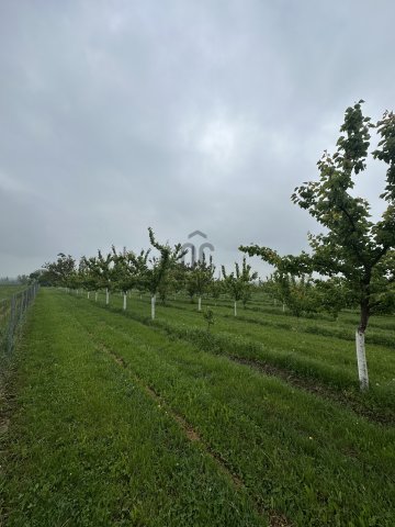 Eladó telek, Százhalombattán 37 M Ft / költözzbe.hu