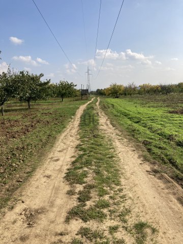 Eladó mezogazdasagi ingatlan, Pomázon 10.9 M Ft