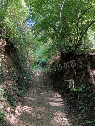 Eladó telek, Tornyiszentmiklóson 2.5 M Ft / költözzbe.hu