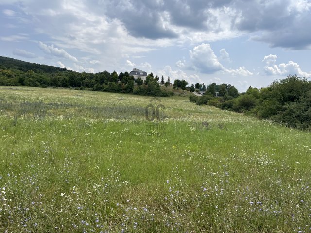 Eladó telek, Budajenőn 766.422 M Ft / költözzbe.hu
