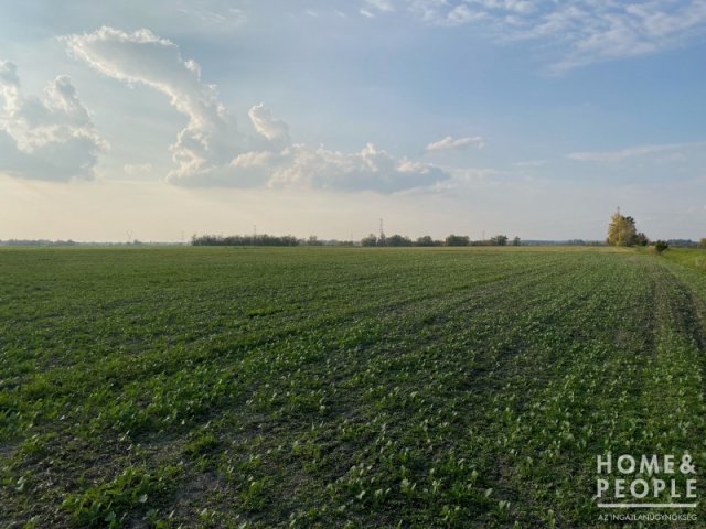 Eladó mezogazdasagi ingatlan, Hódmezővásárhelyen 32.999 M Ft