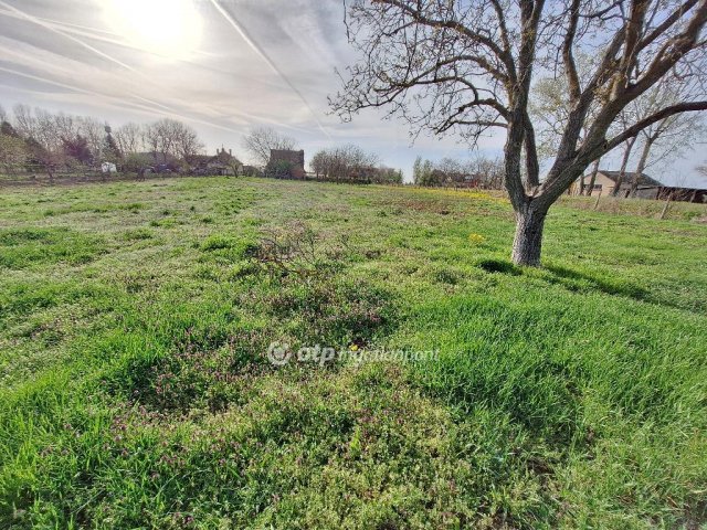 Eladó telek, Tiszajenőn 2.5 M Ft / költözzbe.hu