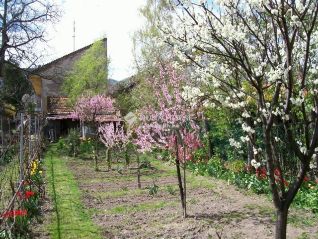 Eladó családi ház, Sátoraljaújhelyen 17.6 M Ft, 3 szobás
